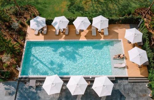 Chang Phueak Hotel | The Clover