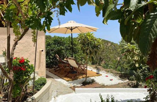 Pefki Apartment | The Garden House, Sitia