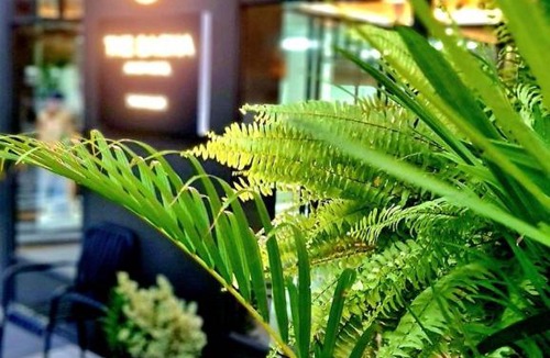 Sukhumvit Hotel | The SACHA Apart-Hotel Thonglor Sukhumvit Bangkok