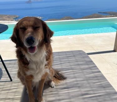 Kithnos Villa | Thermyes Villas 3 with private pool