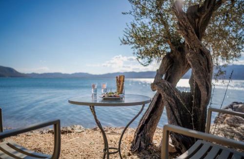 Mytilene House | Traditional Architecture Seafront Stone House in 25000sqm Olive Grove - C
