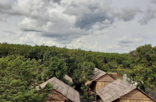 Ban Lung House | Tribal Village Homestay & Trekking