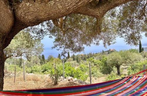 Skinaria Villa | Trikoupis Villa