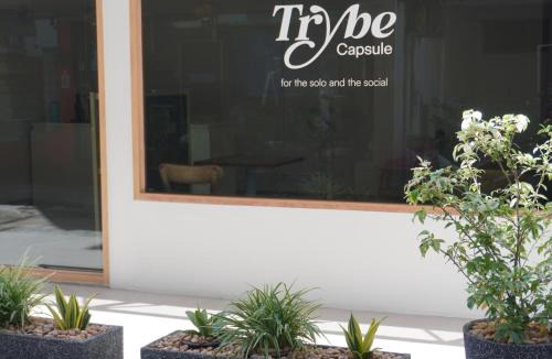 Thapae Hostel | Trybe Capsule Hostel Chiang Mai