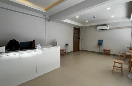 Thapae Hostel | Trybe Capsule Hostel Chiang Mai