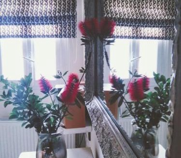 Naxos House | Vasiliki's House