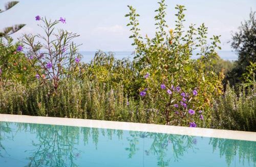 Chlomos Villa | Villa Alkyoni Mare