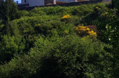 Corfu Villa | Villa ALTHEA