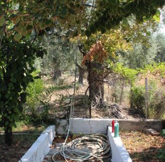 Skala Kallirachis House | Villa Anta