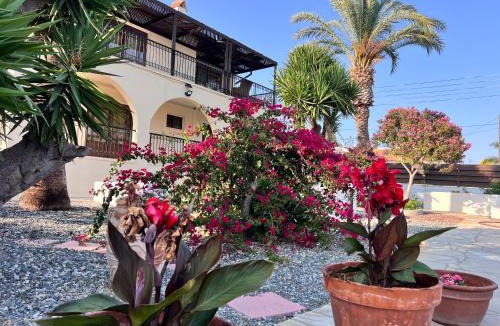 Erimi Villa | VILLa EUMELIA