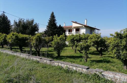 Krikellos Villa | Villa Manolia