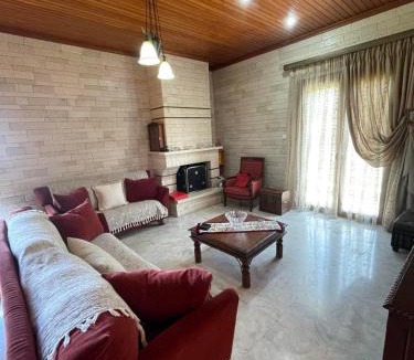 Krikellos Villa | Villa Manolia