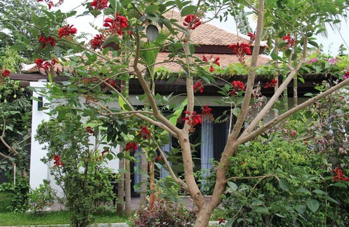 Wat Bo Area Villa | Villa Privée Dans un Jardin Tropical