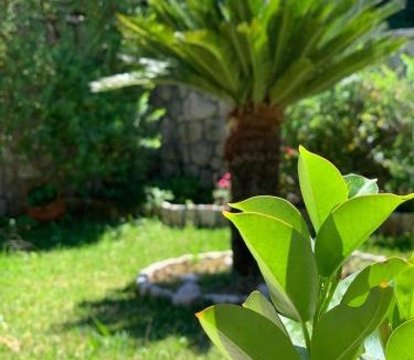 Spanokhorion House | Villa theosis