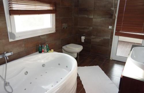 Trikala Villa | Villa Vasili