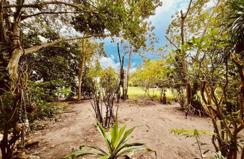 Baan Tai Resort | Villa Wonderworld Resort