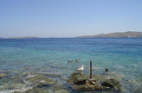 Posidonia House | Villetta IRENULLA