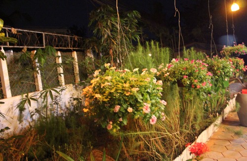 Siem Reap House | Welcome to Eco-Home Siem Reap