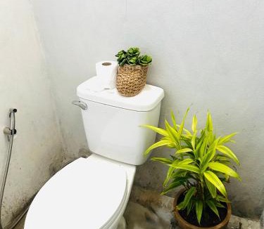 Pai Apartment | Whatsup pai