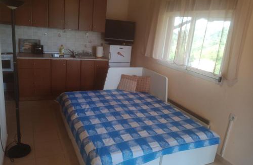 Lafkos Apartment | Yerios