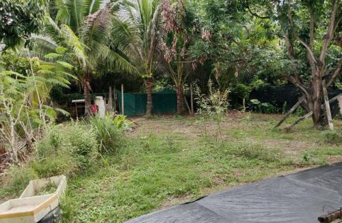 San Sai Apartment | Yoo Sabai Home