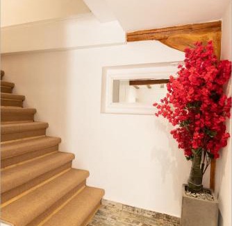 Lefkada Apartment | Ziv Boutique Apartments Town Square
