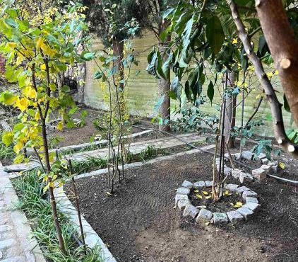 Αρχοντικό Βιζυηνού in Xanthi