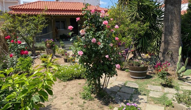 Λευκό γιασεμί in Kritharia