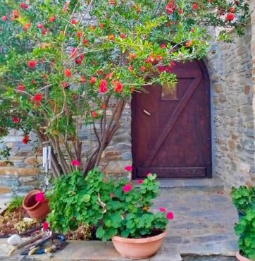 Πέτρινο in Tinos