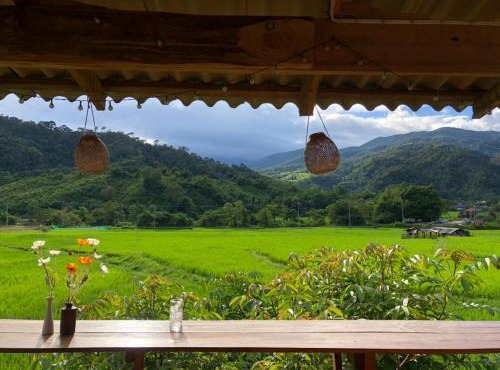 นากลางดอย Naklangdoi