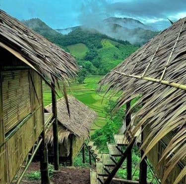 บ้านไม่ไผ่บ้านเวร-BambooHouse Banwen