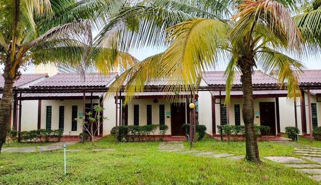 双棕榈度假村