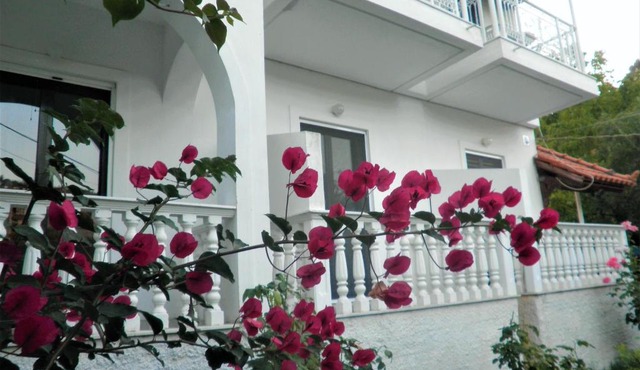 Aktipis Studios in Zakynthos