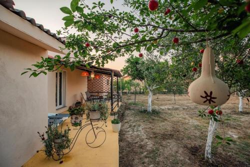 Al Mare Family Suite in Mólos