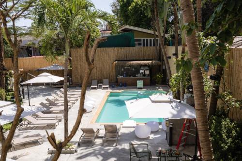 Aloha Tropicana Samui