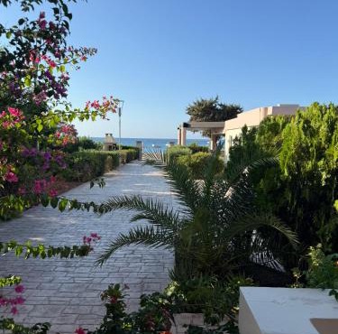 Amaryllis Beach House