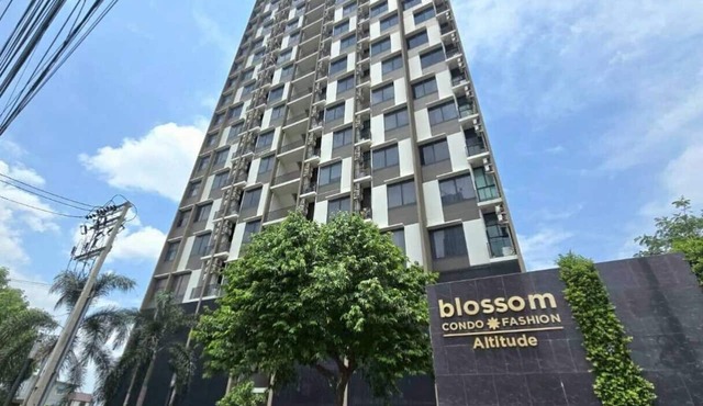 Blossom Comzy Duplex