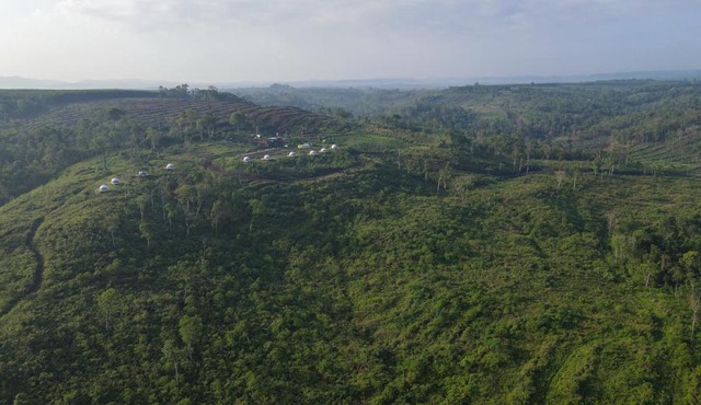 Breathe Wild in Pechr Chenda