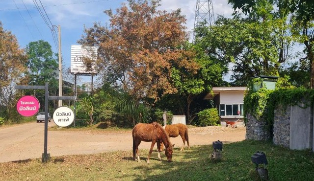 Bualinn Resort