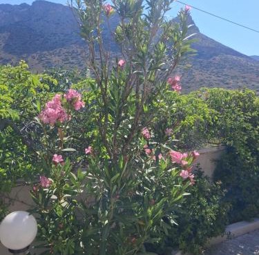Cathrin Suites in Stavros