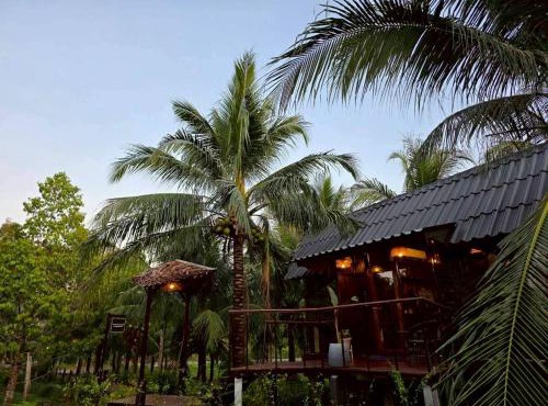 Cheewatra Farmstay Coconut House in Ban Tha Maphrao