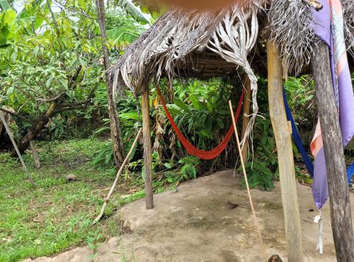 Chez lima tortuga guesthouse