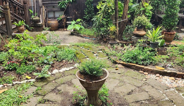 Cozy Nest CNX in the heart of Chiangmai. walking distance train and bus station. in Chiang Moi