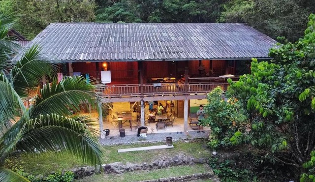 forestel homestay kohkood ฟอเรสเทล โฮมสเตย์ เกาะกูด