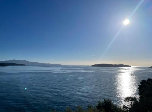 Gaia Skiathos Apartments