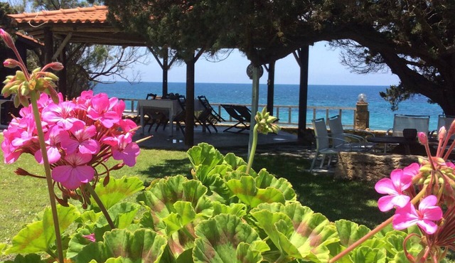 Genari Beach Apartments -Family sea view apartment in Leventochori