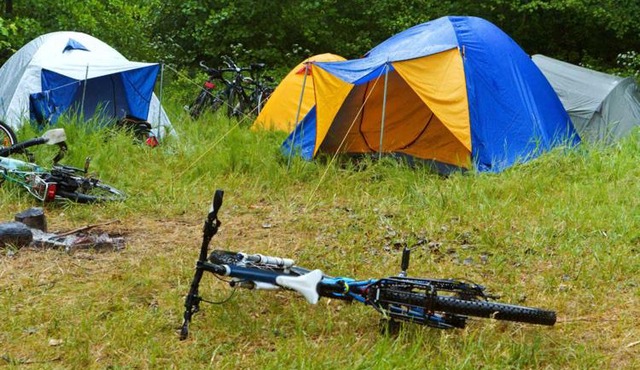 Go Camping