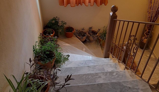Guest House Ilektra in Voio