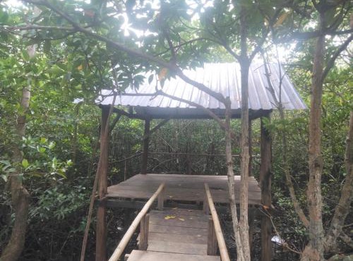 Hornbill Homestay