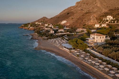 Hydra Erato in Hydra